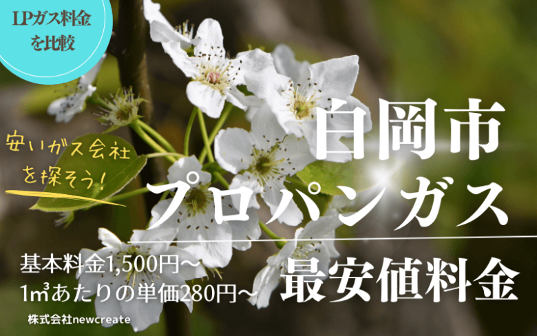 白岡市のプロパンガス平均価格と最安値料金