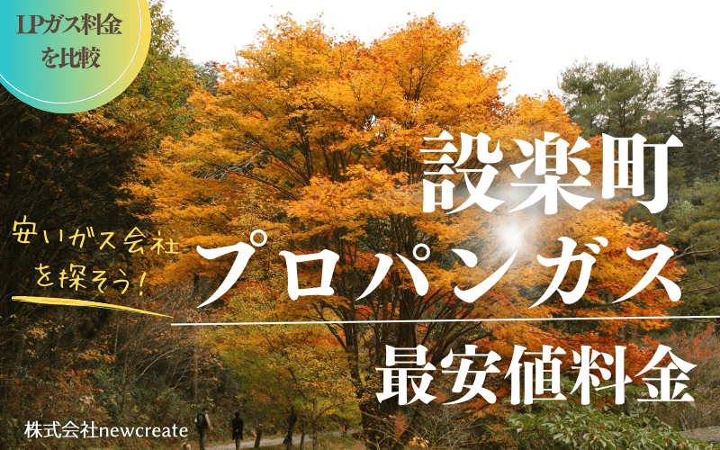 設楽町のプロパンガス平均価格と最安値料金