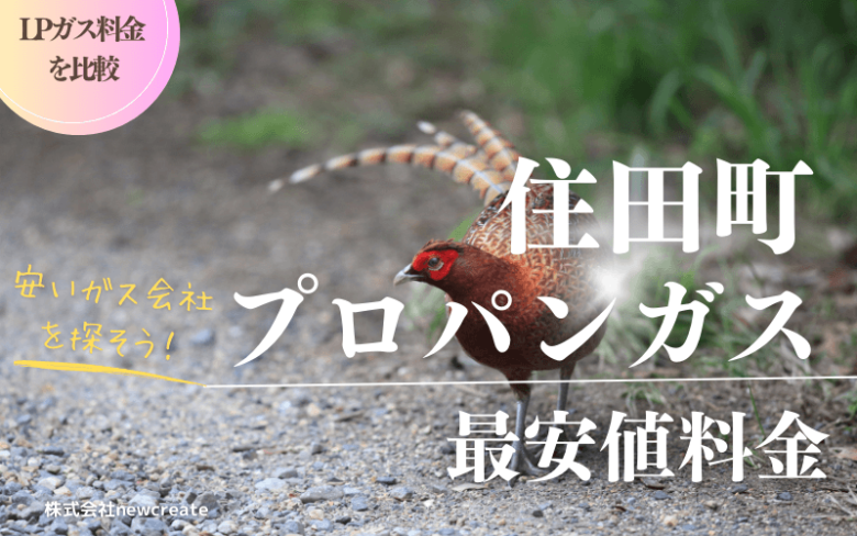 岩手県住田町のプロパンガス平均価格と最安値料金