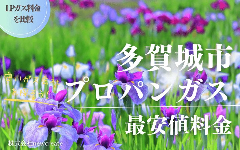多賀城市のプロパンガス平均価格と最安値料金