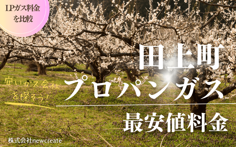 新潟県田上町のプロパンガス平均価格と最安値料金