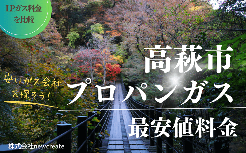 高萩市のプロパンガス平均価格と最安値料金