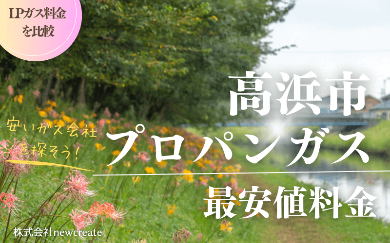 高浜市のプロパンガス平均価格と最安値料金