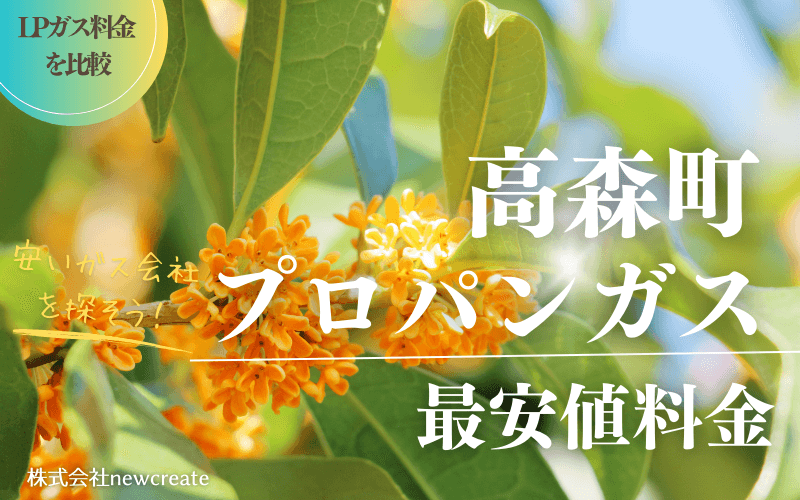 長野県高森町のプロパンガス平均価格と最安値料金