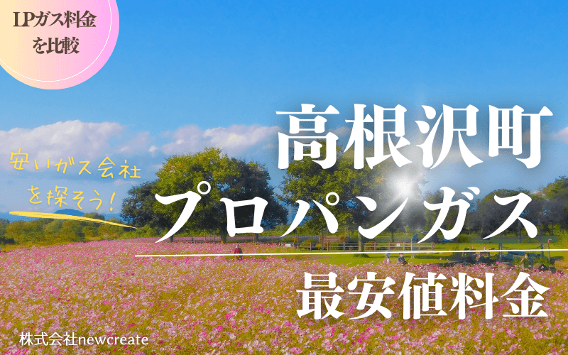 高根沢町のプロパンガス平均価格と最安値料金