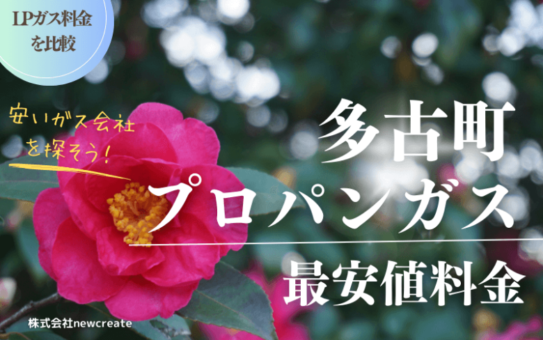 多古町のプロパンガス最安値料金