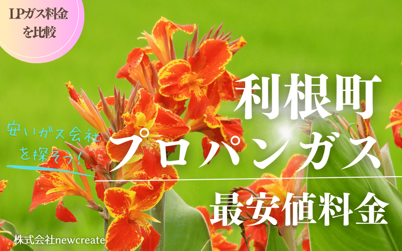 利根町のプロパンガス平均価格と最安値料金