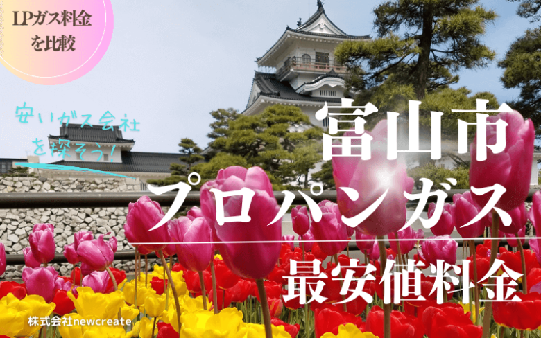 富山市のプロパンガス平均価格と最安値料金【安い会社を探す】