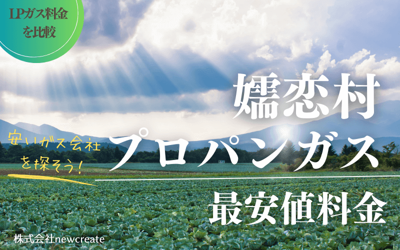 嬬恋村のプロパンガス平均価格と最安値料金