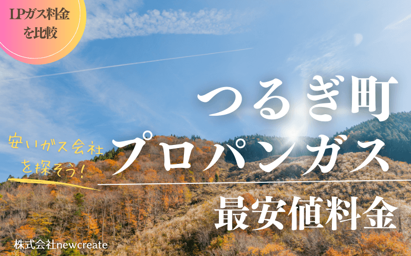 つるぎ町のプロパンガス平均価格と最安値料金