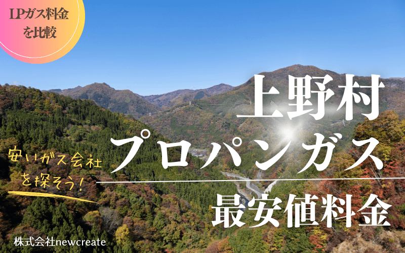 群馬県上野村のプロパンガス平均価格と最安値料金