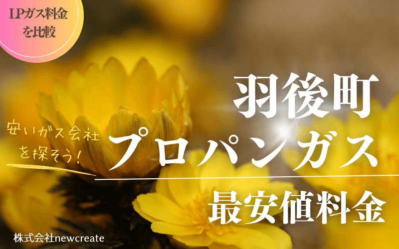 羽後町のプロパンガス平均価格と最安値料金