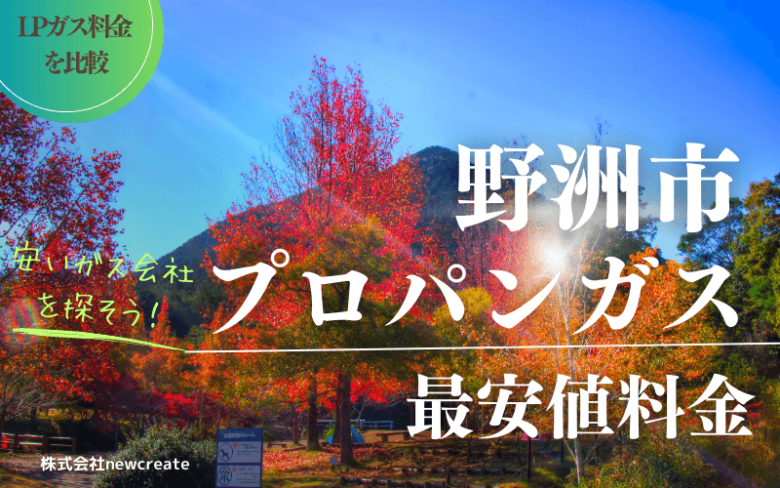 野洲市のプロパンガス平均価格と最安値料金