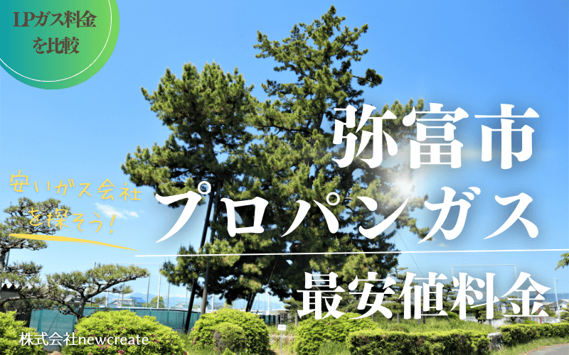 弥富市のプロパンガス平均価格と最安値料金