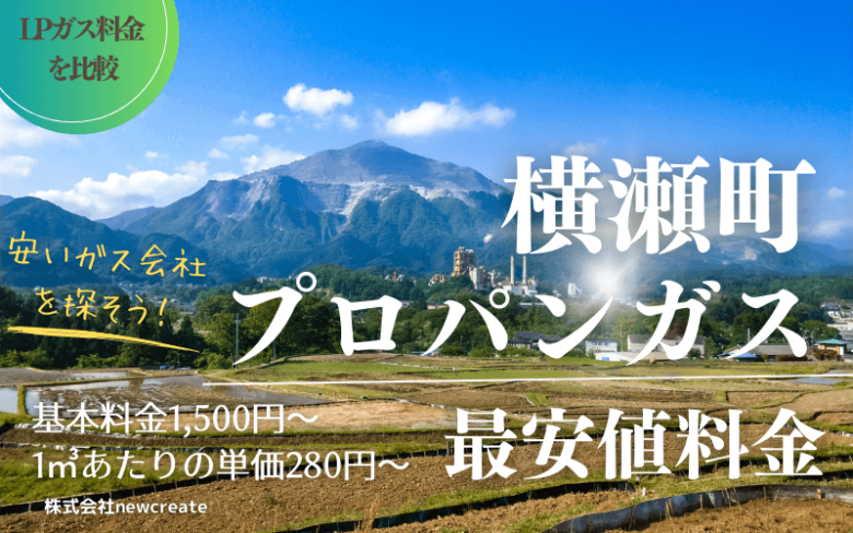 秩父郡横瀬町のプロパンガス平均価格と最安値料金