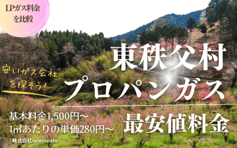 東秩父村のプロパンガス平均価格と最安値料金