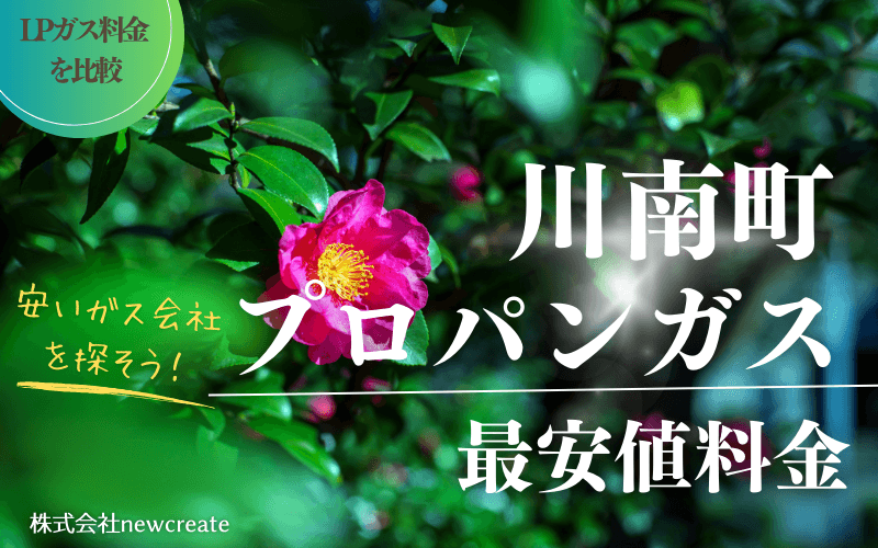 川南町のプロパンガス平均価格と最安値料金