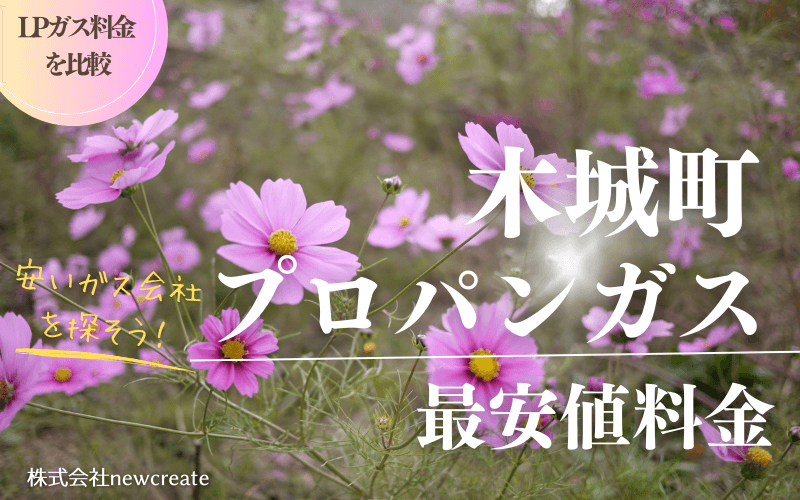 木城町のプロパンガス平均価格と最安値料金