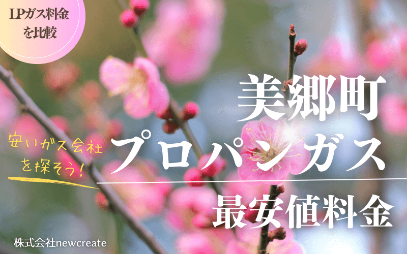 宮崎県美郷町のプロパンガス平均価格と最安値料金