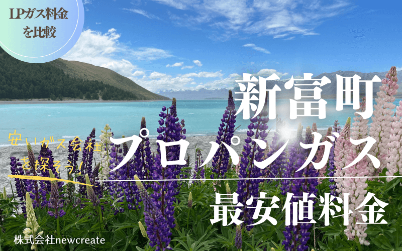 宮崎県新富町のプロパンガス平均価格と最安値料金
