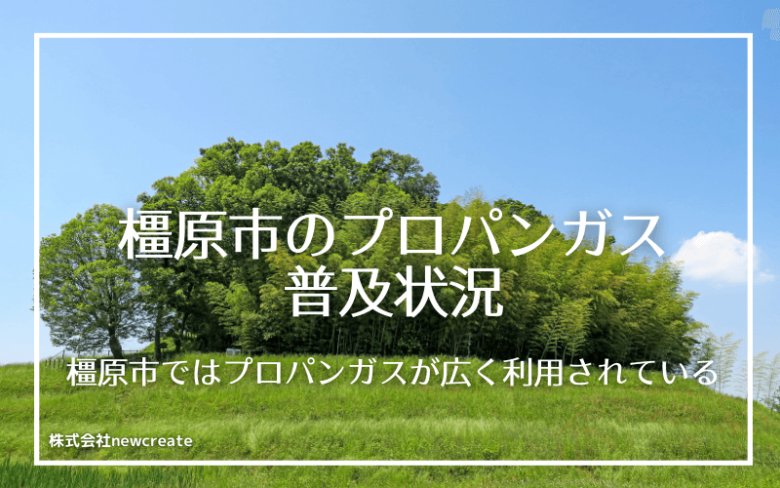 橿原市のプロパンガス普及状況