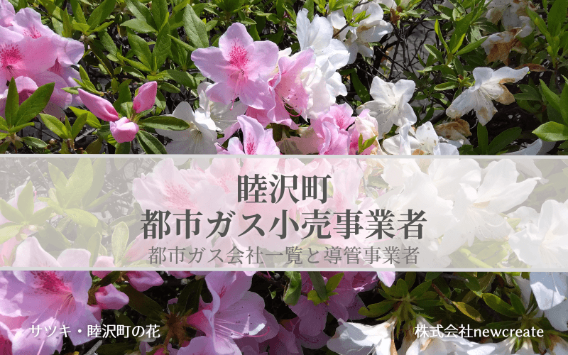 【睦沢町で都市ガス会社は選べるのか？】小売り事業者一覧