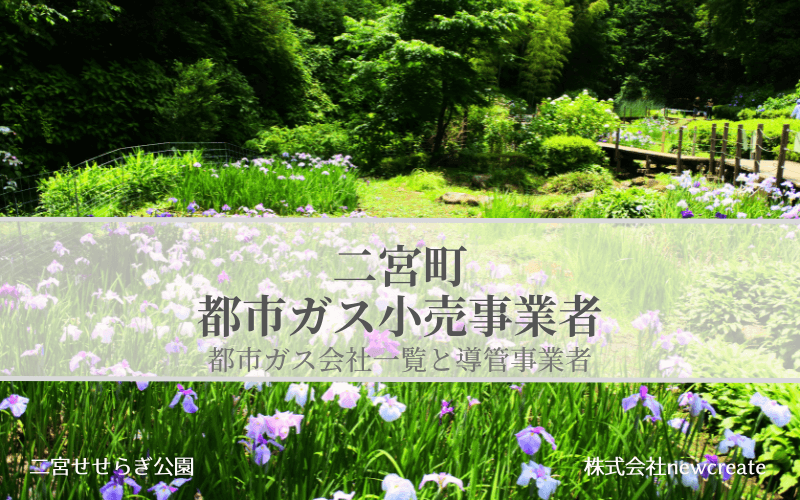 【二宮町の都市ガス小売事業者一覧】ガス会社は選べるのか？