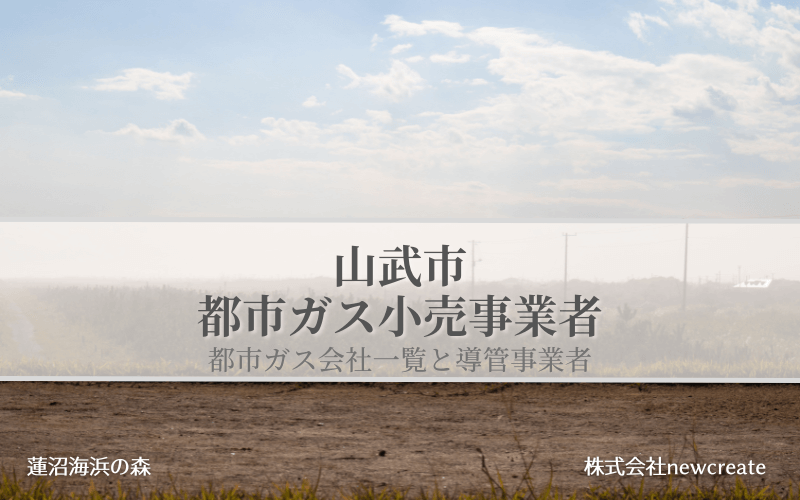 【山武市で都市ガス会社は選べるのか？】小売り事業者一覧