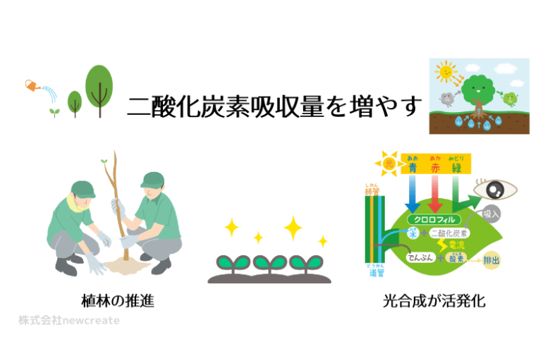 二酸化炭素吸収量を増やす