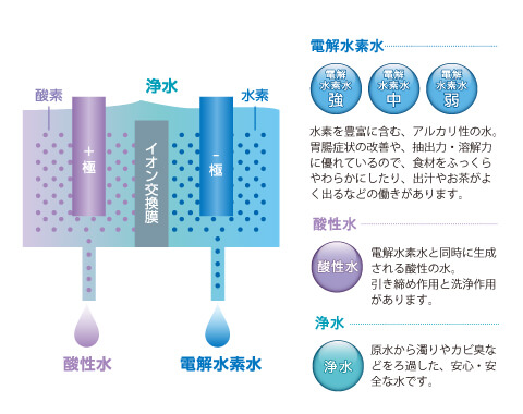 伊東ガスの電解水素水生成器販売