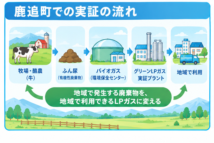 鹿追町での実証の流れ