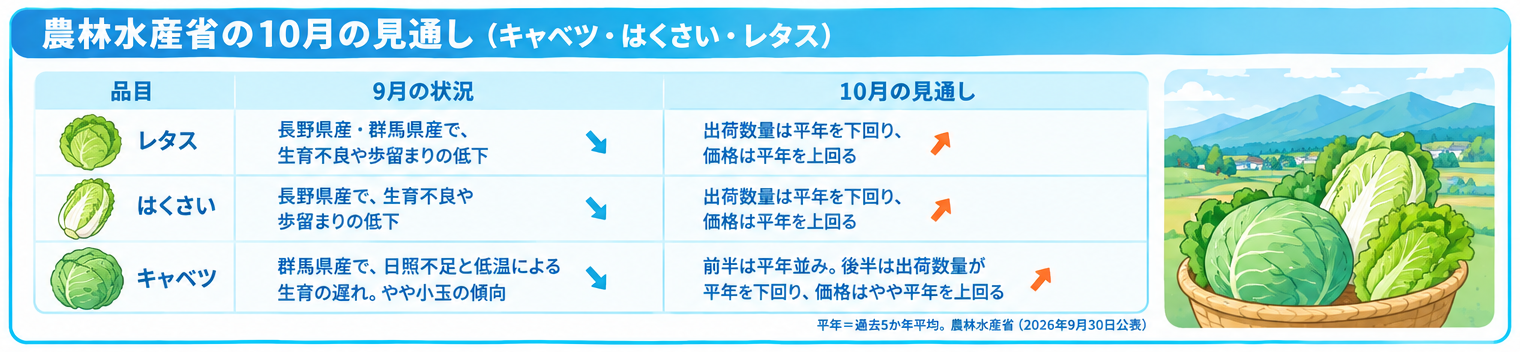 農林水産省の10月の見通し(キャベツ・はくさい・レタス)