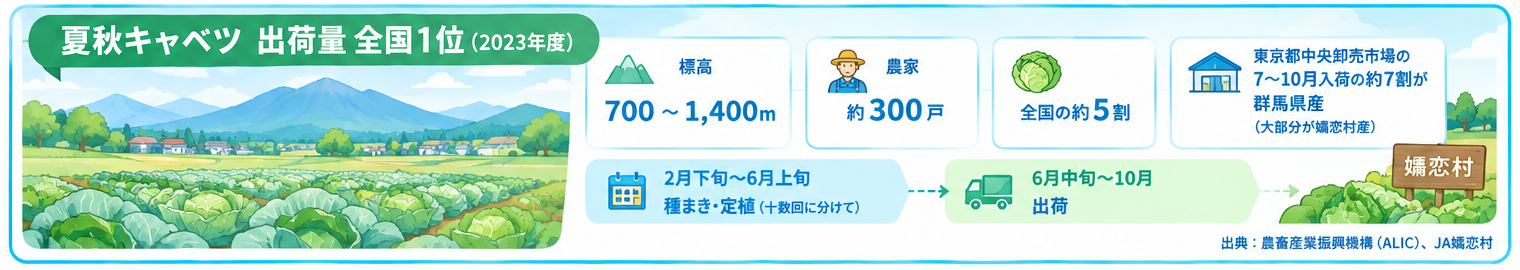 嬬恋村のキャベツ